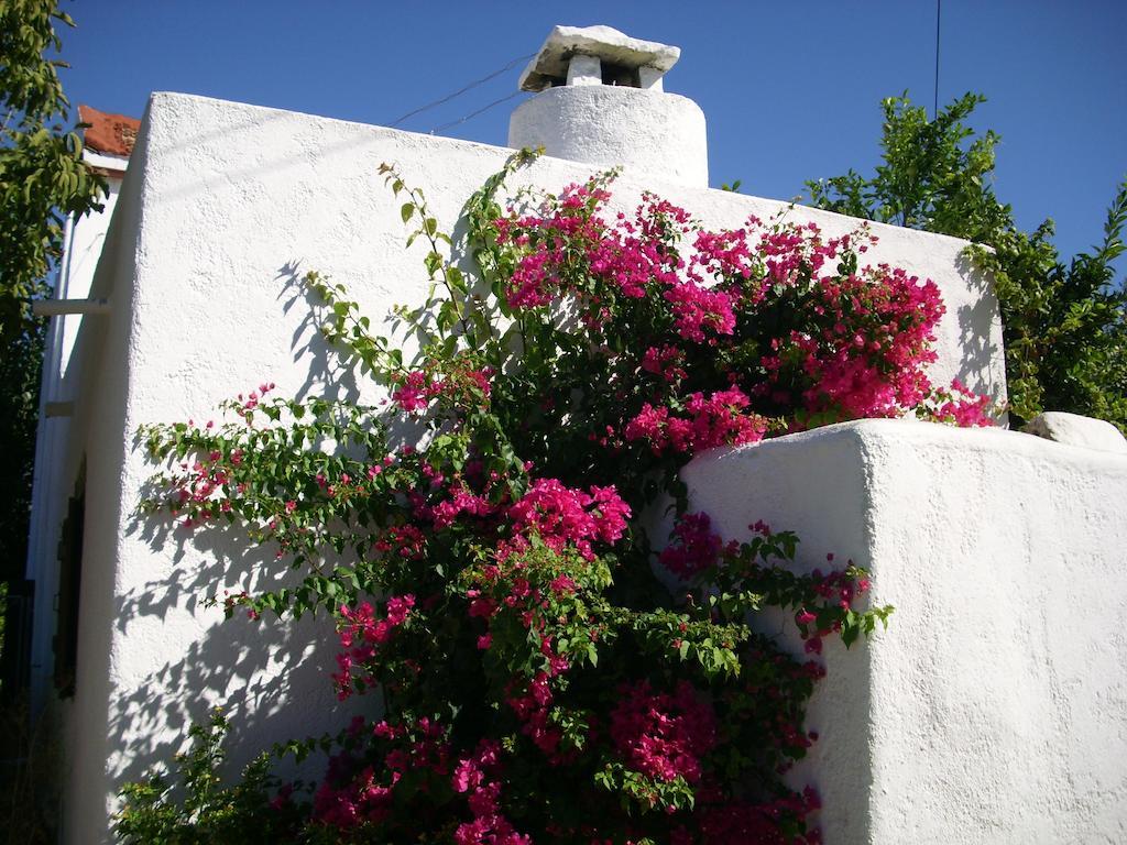 Patriko Country House Vóroi 외부 사진